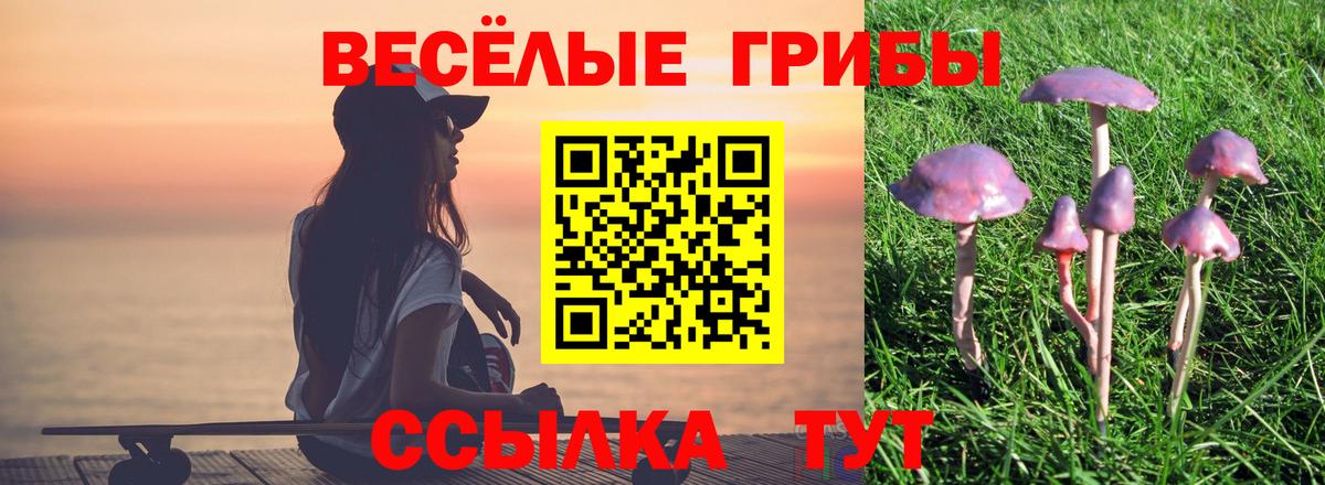 Галлюциногенные грибы Magic Shrooms  Вход с VPN  Орёл 