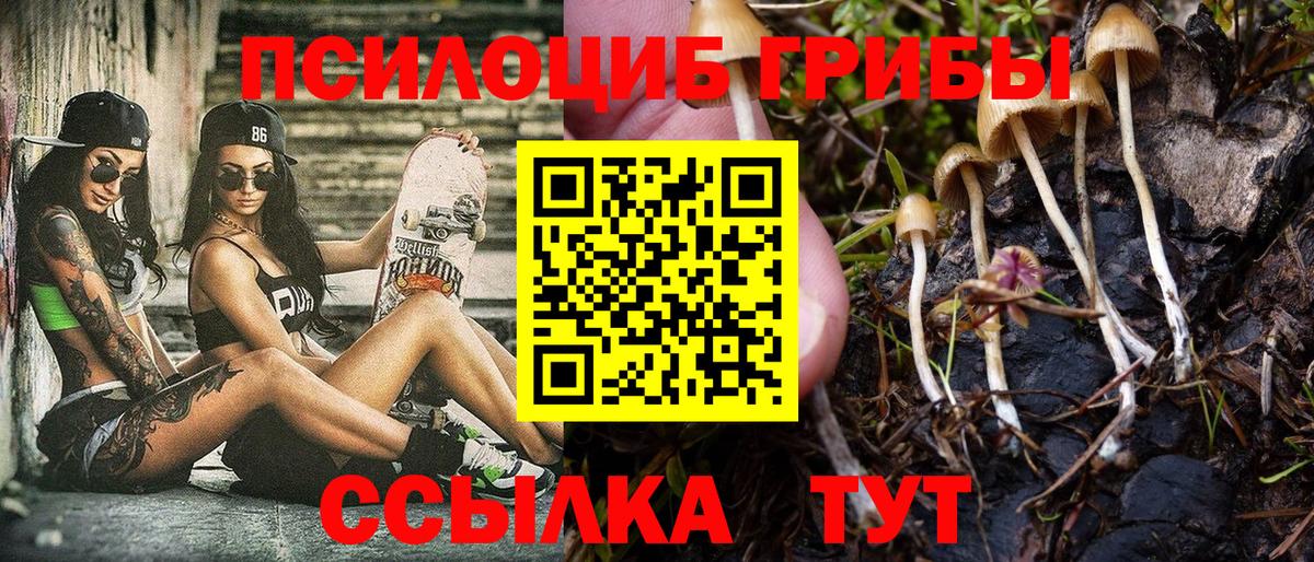 Галлюциногенные грибы прущие грибы Орёл